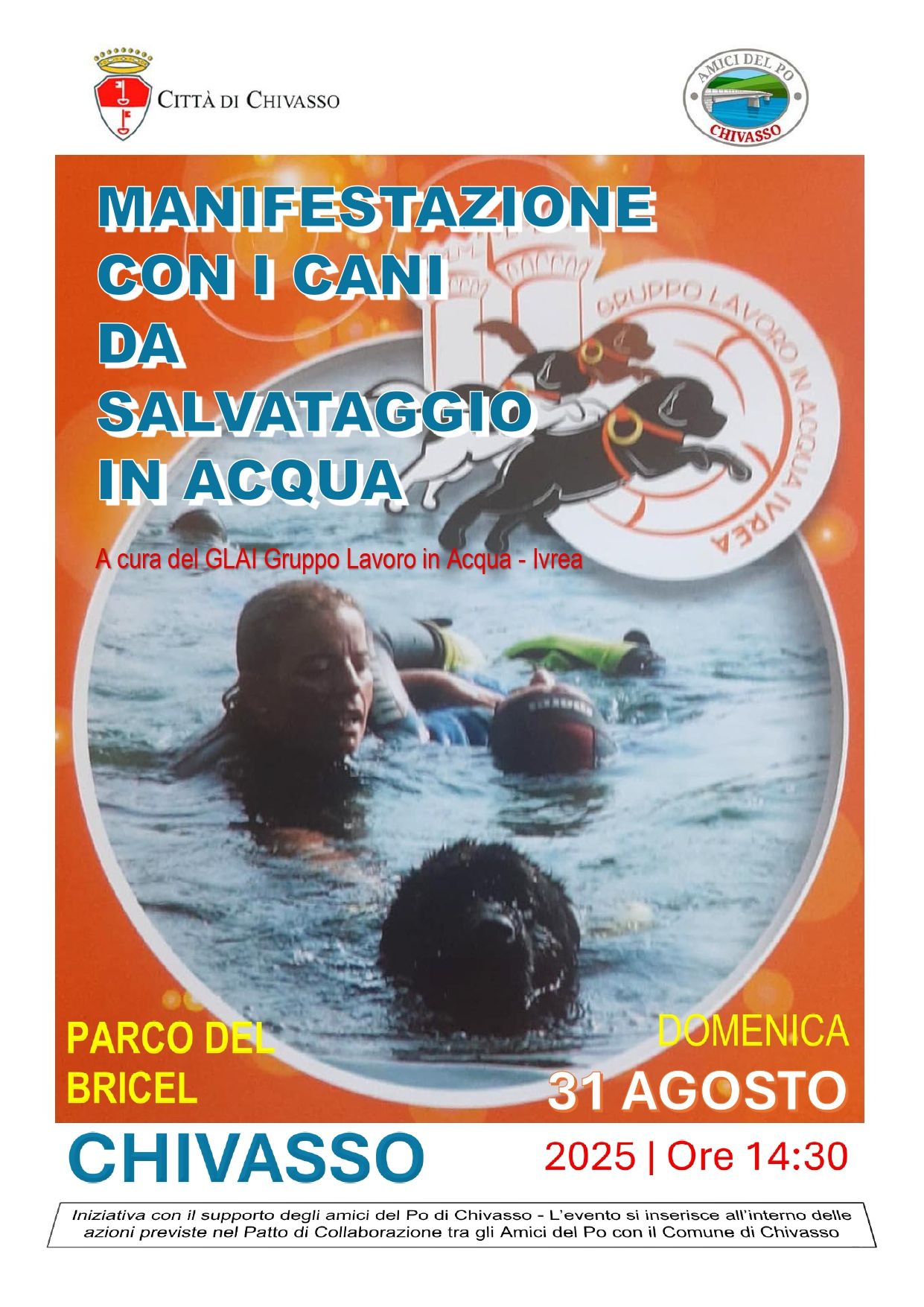 CHIVASSO - Manifestazione con i cani da salvataggio in acqua