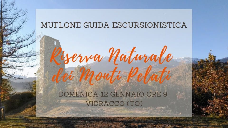 VIDRACCO - Escursione ai Monti Pelati