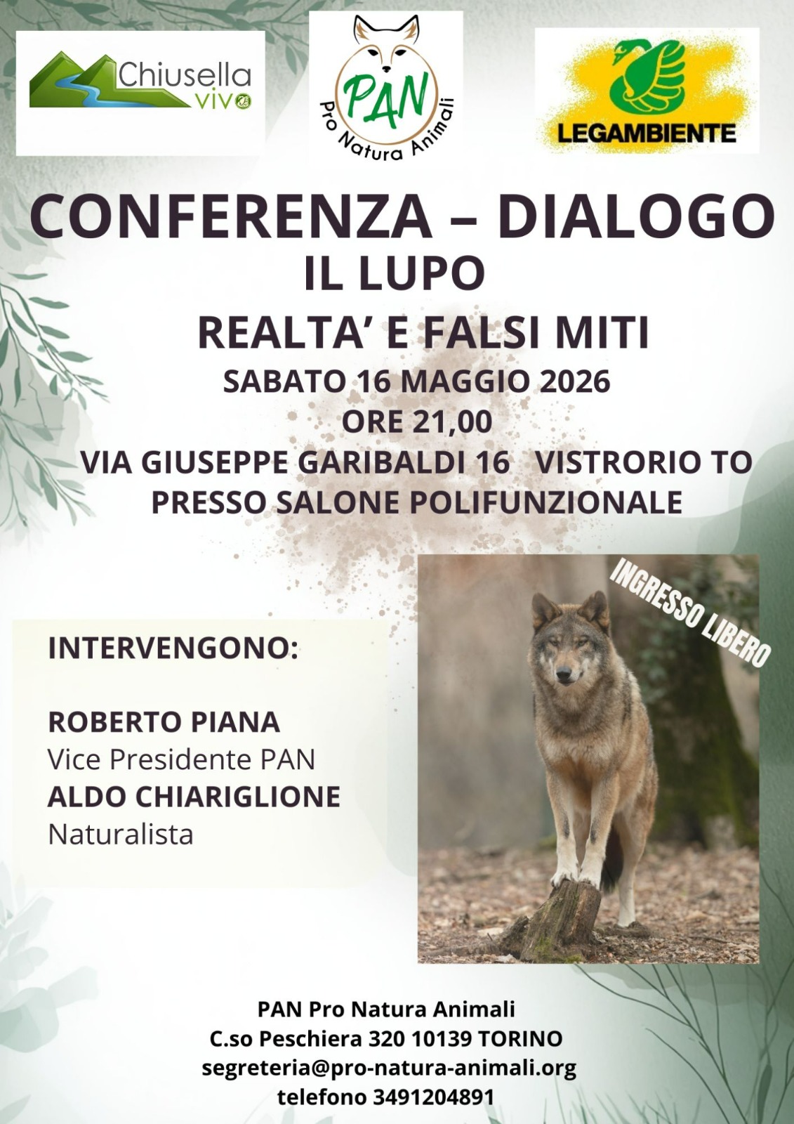 Il lupo - Realtà e falsi miti