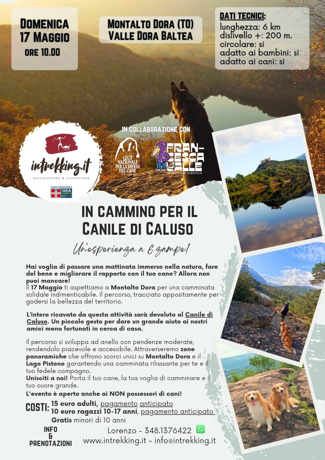 In Cammino per il Canile di Caluso: Esperienza a 6 Zampe