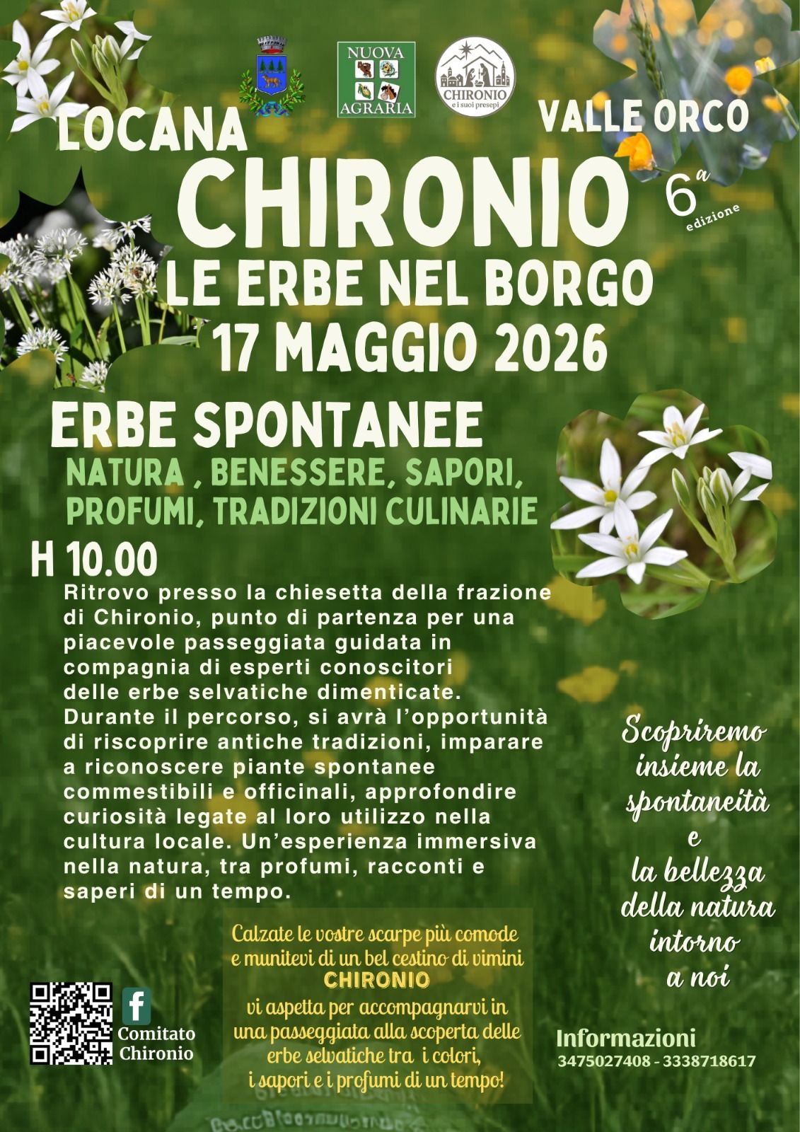 Alla scoperta delle erbe spontanee nel borgo di Chironio