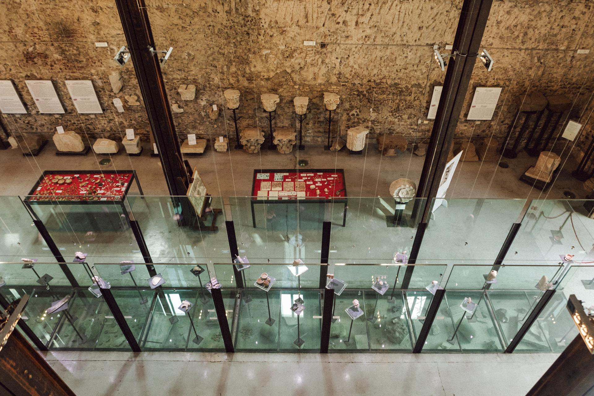 L'archeologia si racconta: Tuscolo connesso