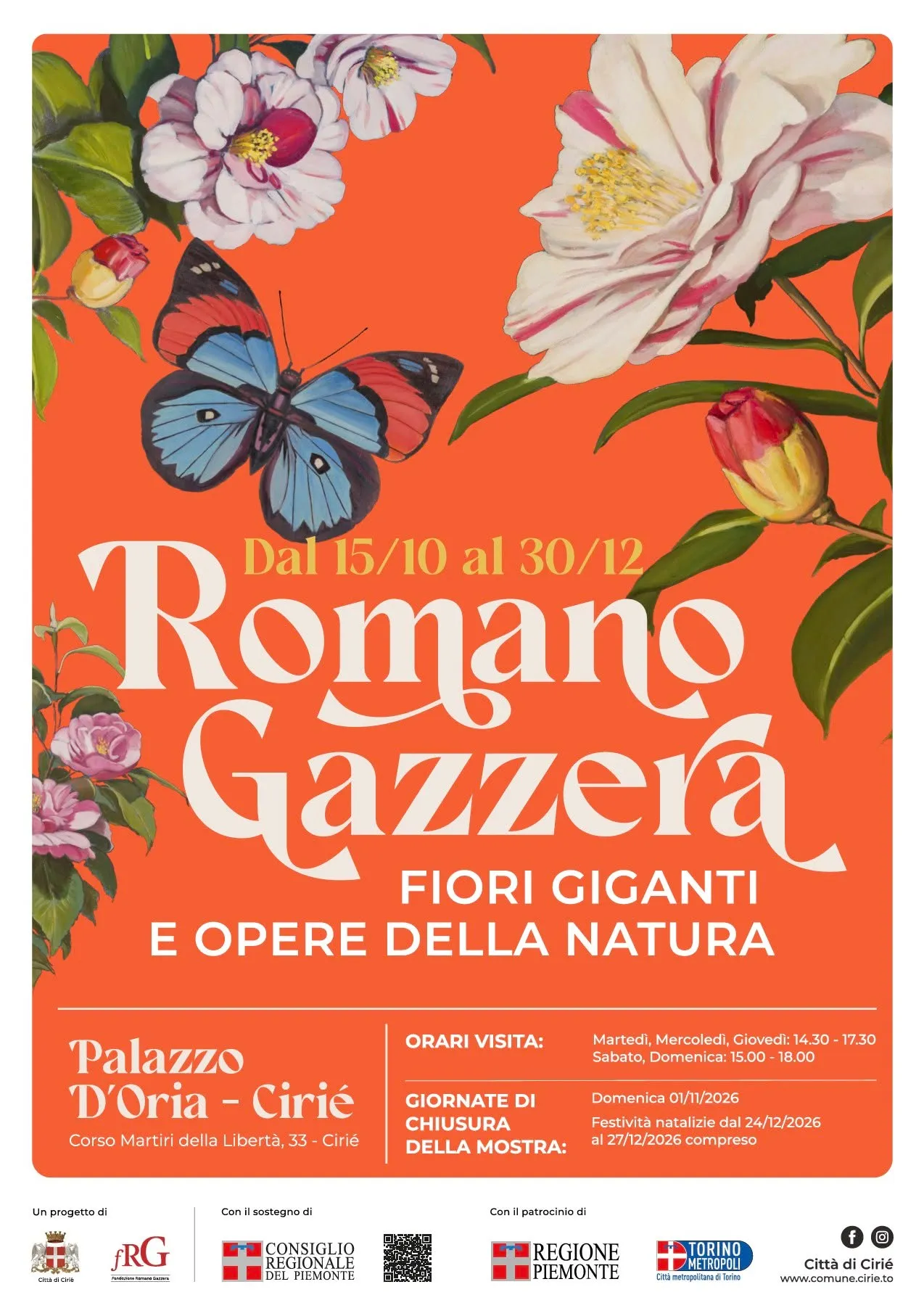 Romano Gazzera. Nel regno dei fiori giganti