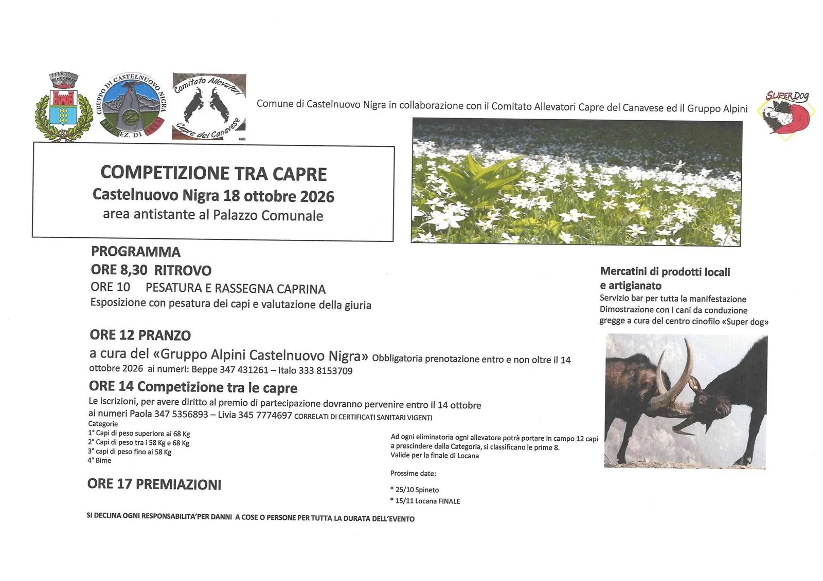 Competizione tra Capre a Castelnuovo Nigra