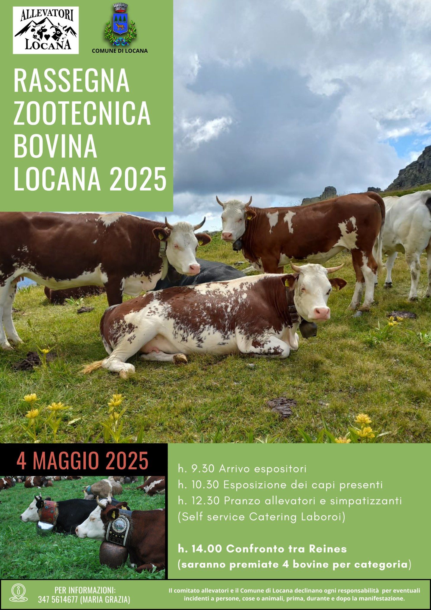 LOCANA - Rassegna zootecnica bovina