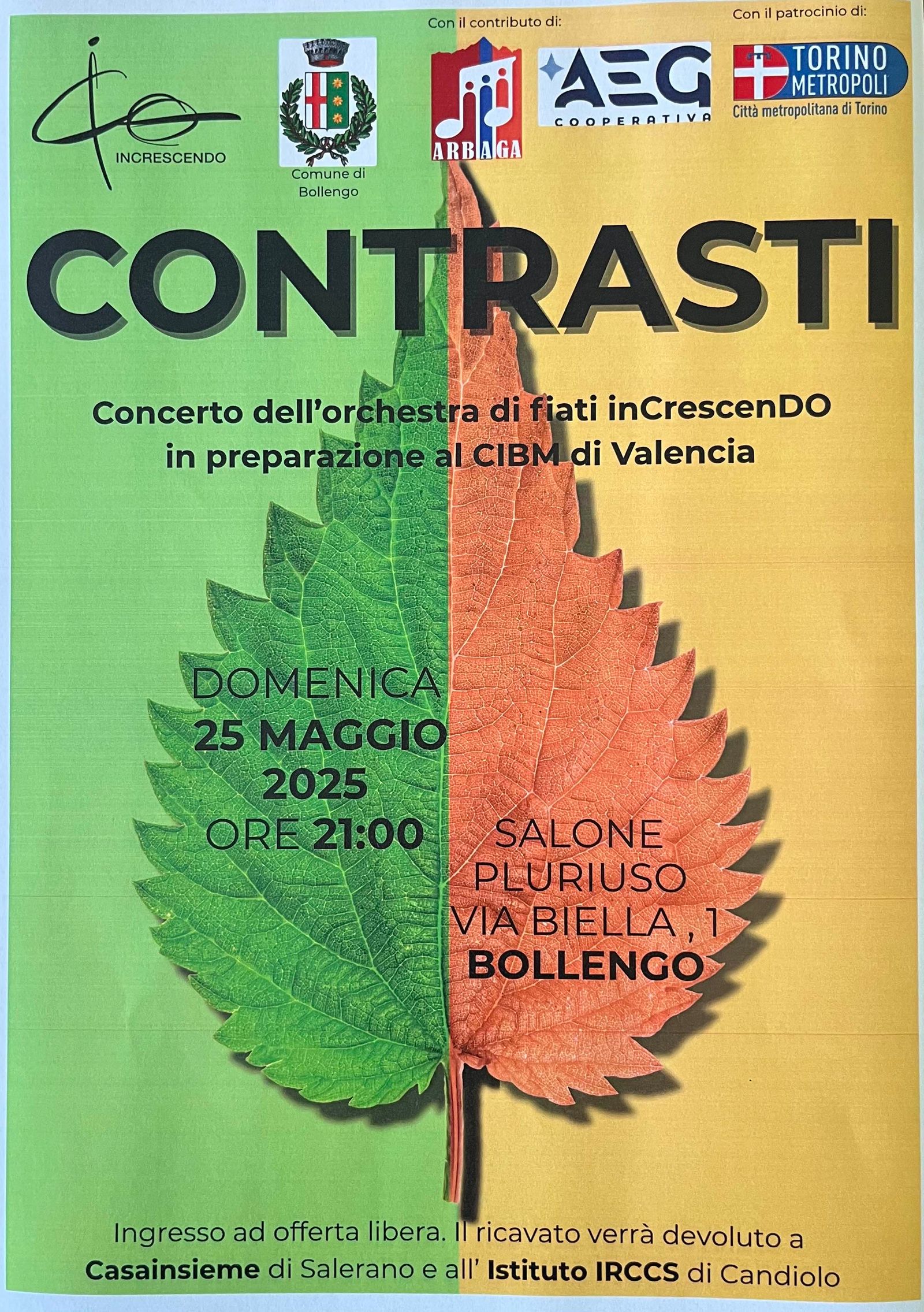 BOLLENGO - Contrasti