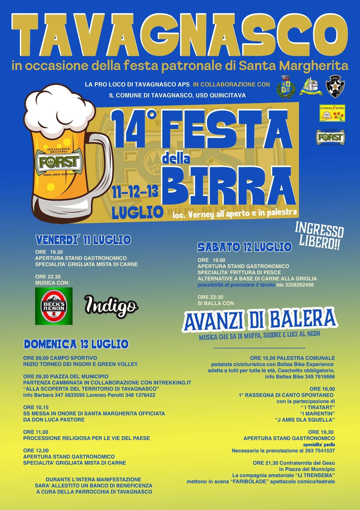 TAVAGNASCO - Festa della birra